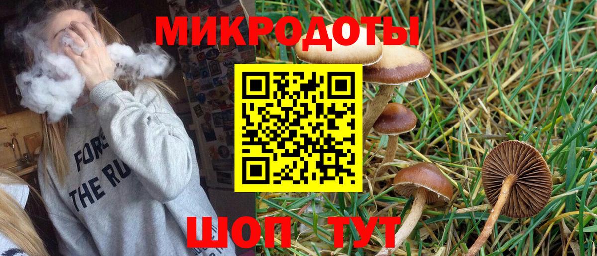 Псилоцибиновые грибы Psilocybe Нижний Тагил