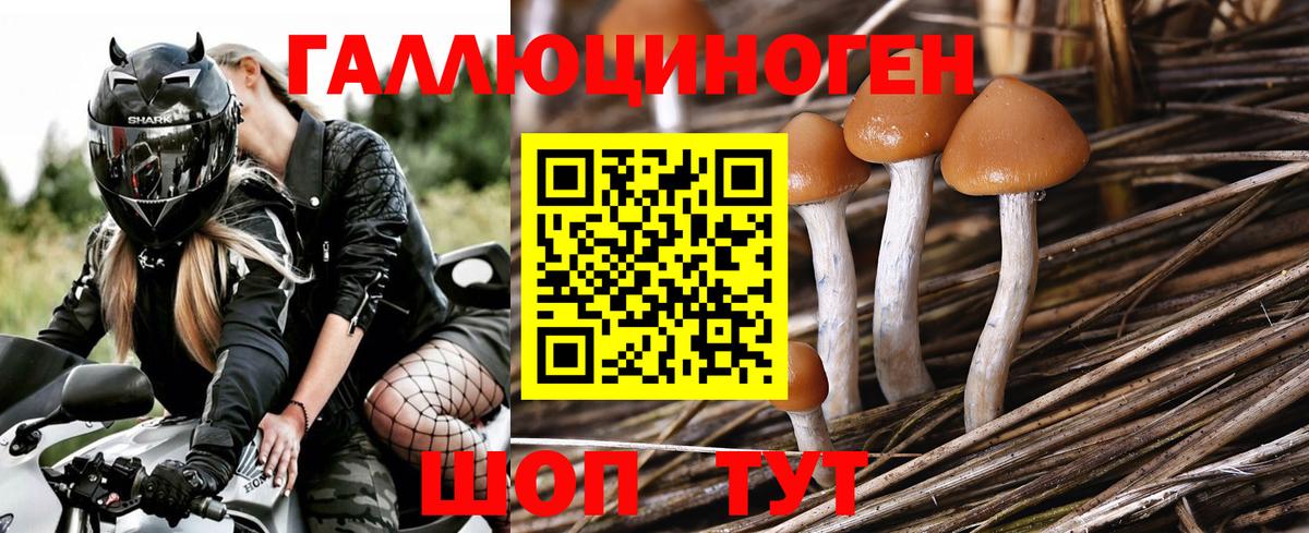Нижний Тагил  Псилоцибиновые грибы Psilocybine cubensis  Галлюциногенные грибы Magic Shrooms  Вход с VPN 